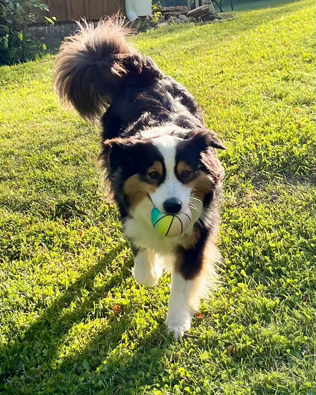 Bobbie